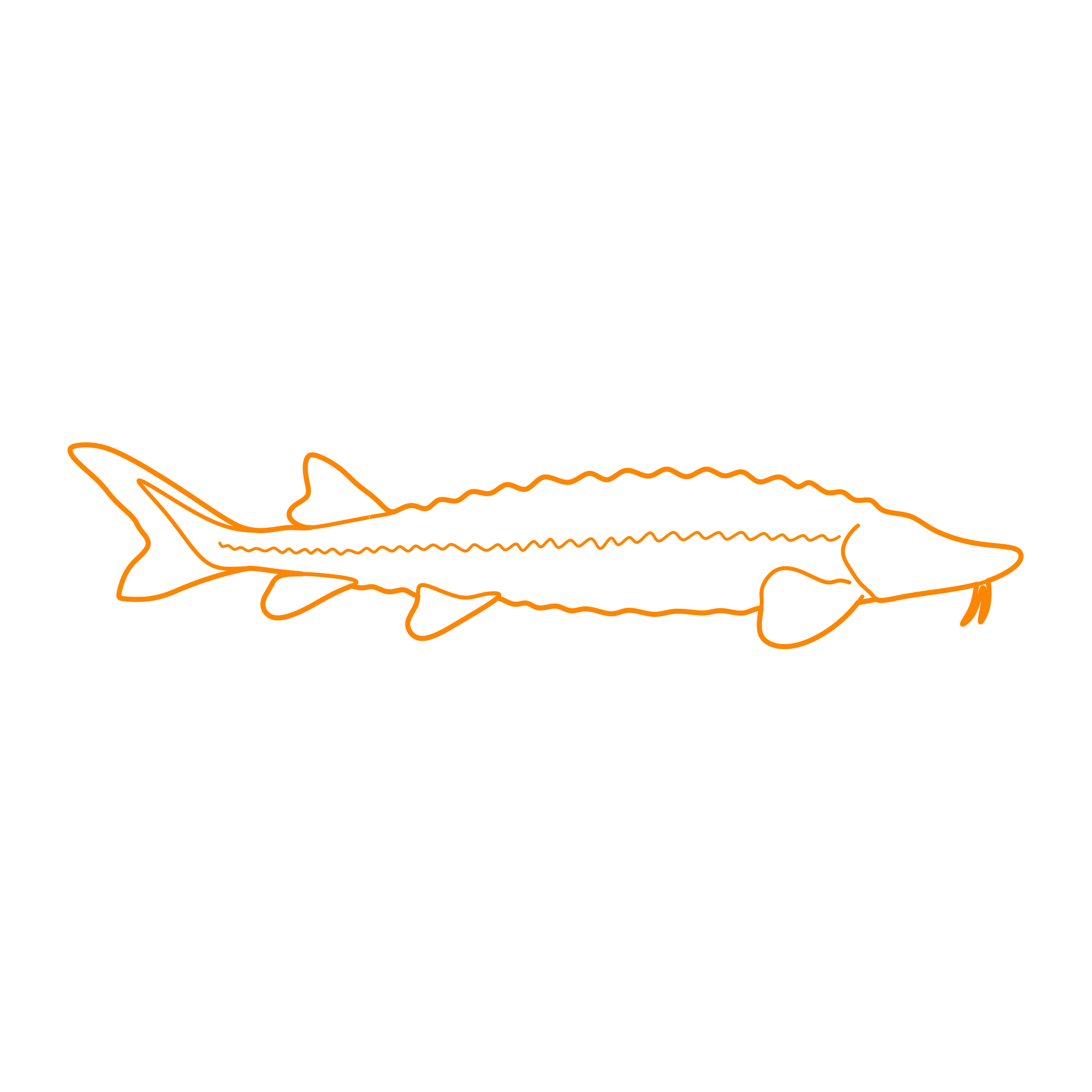 Animals Freshwater Fish Lake Sturgeon Ink Drawing Svg Vector Free Vectors